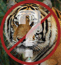 © Central Florida Animal Reserve, 2014