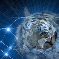 tigertech