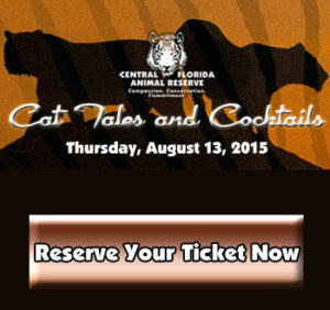 Cat Tales and Cocktails square ad