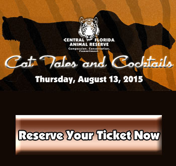 Cat Tales and Cocktails square ad