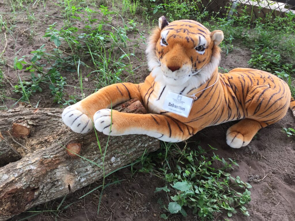 A plush tiger toy with a name tag labeled "Sebastian" lies on the ground next to a tree log, surrounded by grass and dirt.