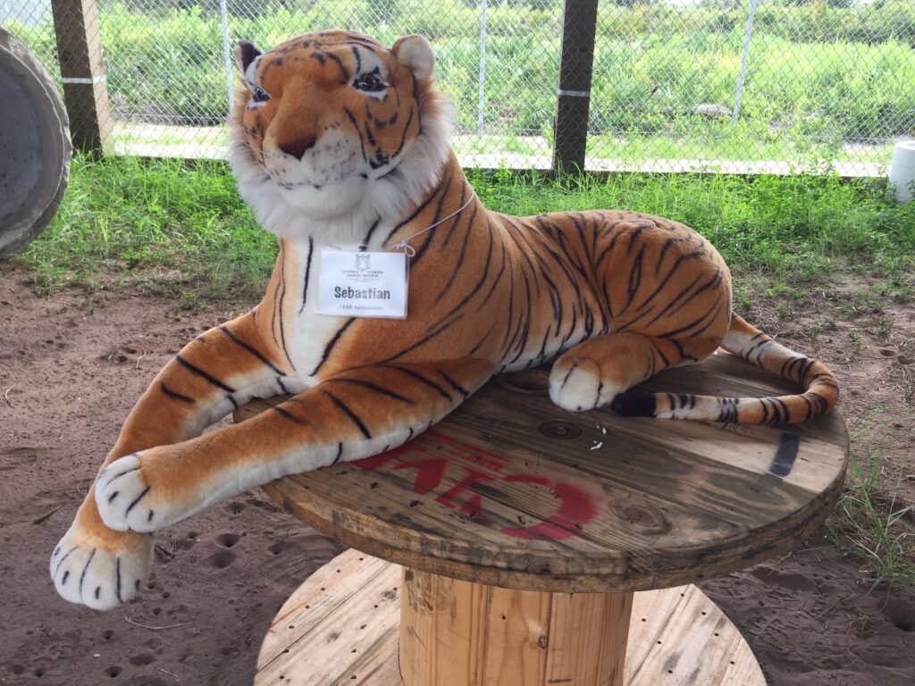 A plush tiger with a name tag reading "Sebastian" is lying on a wooden spool outdoors near a chain-link fence and greenery.