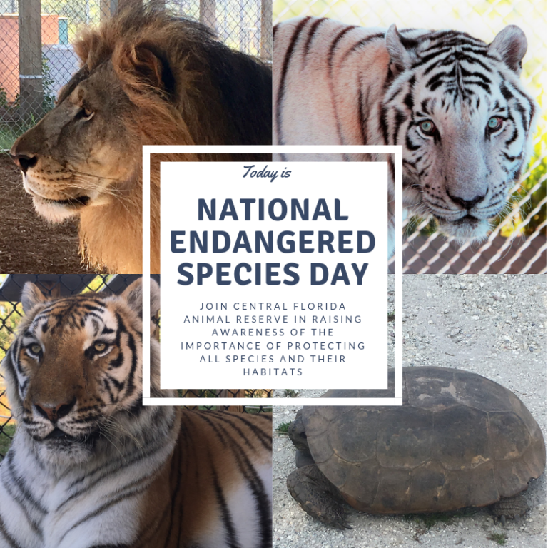 National Endangered Species Day 2019 - Central Florida Animal Reserve