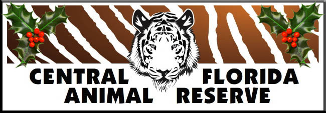 Logo for Central Florida Animal Reserve featuring a tiger's face, zebra stripes in the background, holly decorations in the corners—celebrating ordinary people with an extraordinary task of caring for exotic wildlife.