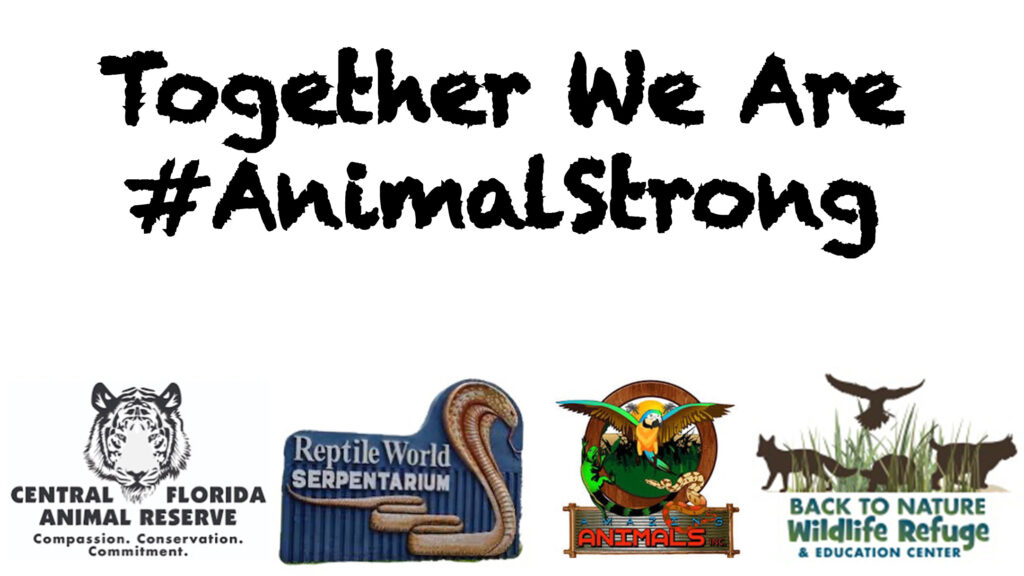 Text "Together We Are #AnimalStrong" appears above four animal-related organization logos, including a tiger, snake, bird, and deer.