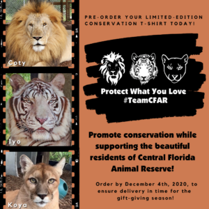 Three photos show a lion, a white tiger, and a cougar beside text promoting a limited-edition conservation T-shirt supporting Central Florida Animal Reserve.