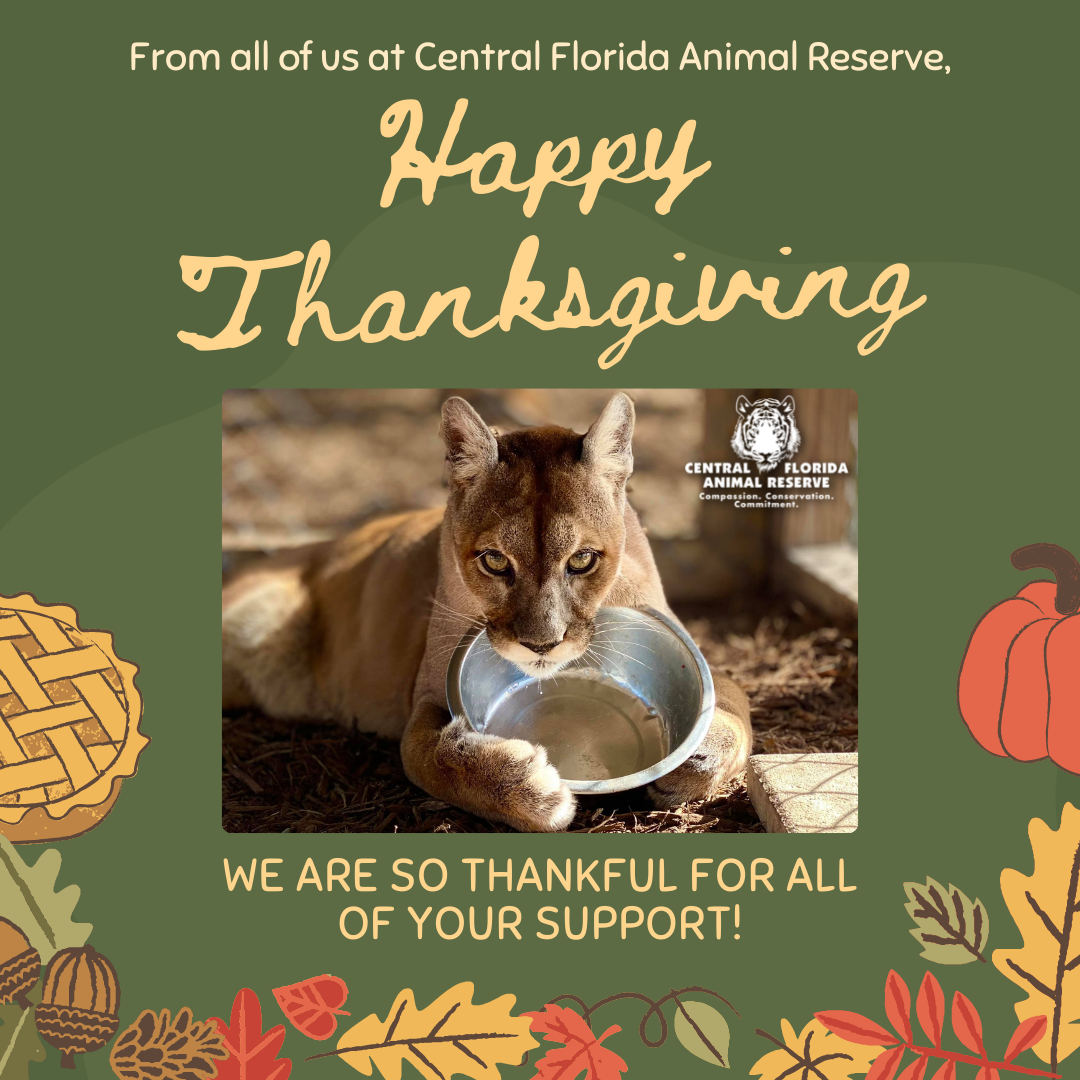 Happy Thanksgiving from Central Florida Animal Reserve