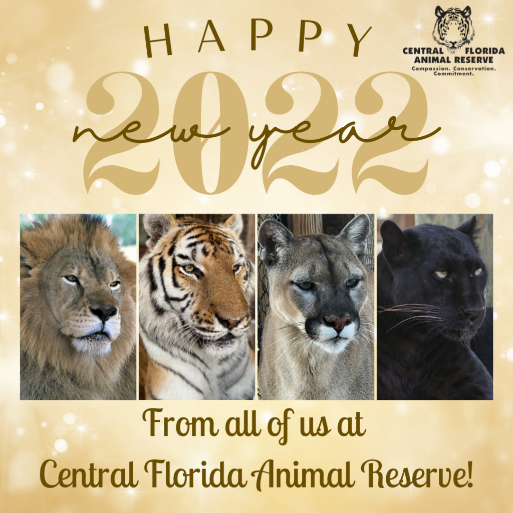 Four big cats—a lion, tiger, cougar, and black panther—are shown under the text "Happy New Year 2022" with a Central Florida Animal Reserve logo and greeting.