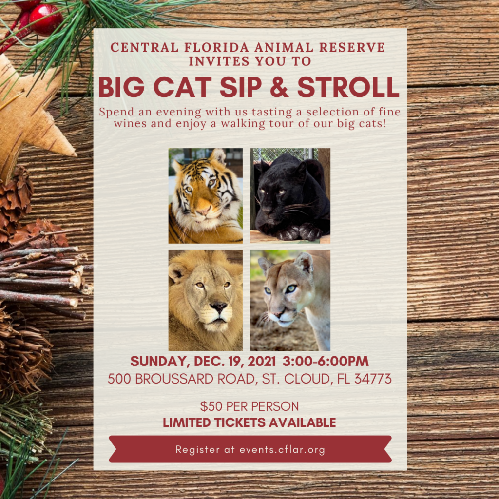 Event flyer for “Big Cat Sip & Stroll” featuring wine tasting and a big cat tour; includes photos of a tiger, black leopard, lion, and cougar, with event details and location.
