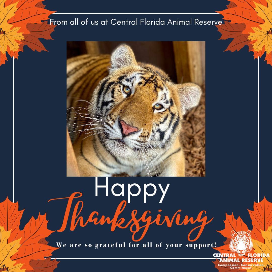 Happy Thanksgiving from Central Florida Animal Reserve!