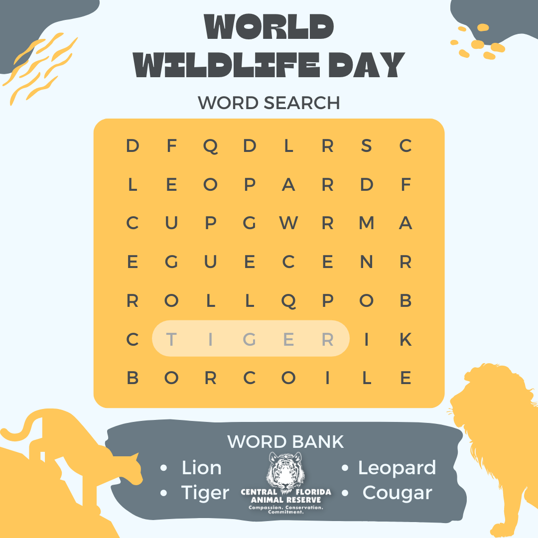 A word search puzzle for World Wildlife Day with words to find: lion, tiger, leopard, and cougar. Animal silhouettes and a logo appear at the bottom.