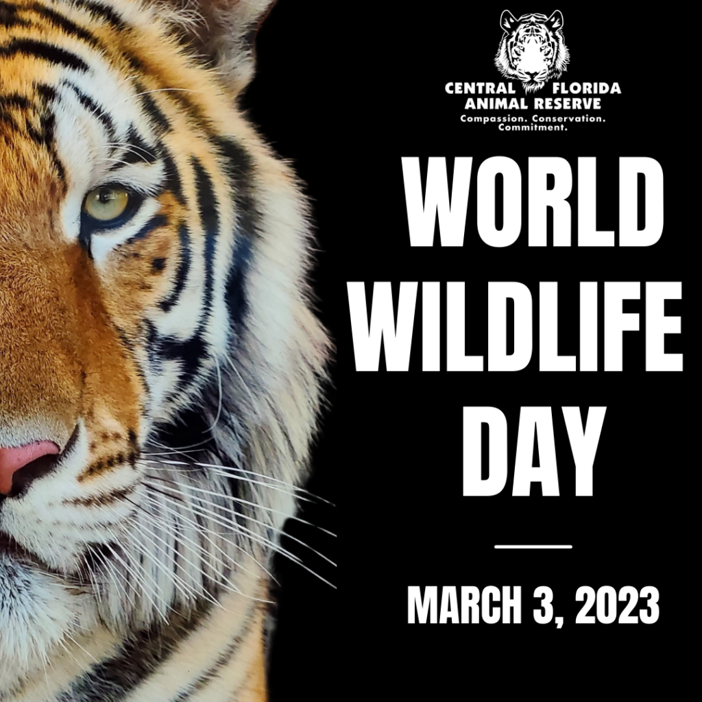 Close-up of a tiger’s face on the left; on the right, text reads “World Wildlife Day, March 3, 2023” with the Central Florida Animal Reserve logo above.