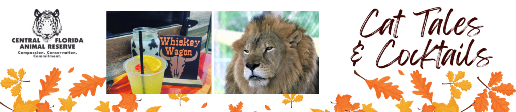 Central Florida Animal Reserve logo, a cocktail, a lion, and text reading "Cat Tales & Cocktails" with an autumn leaf border.