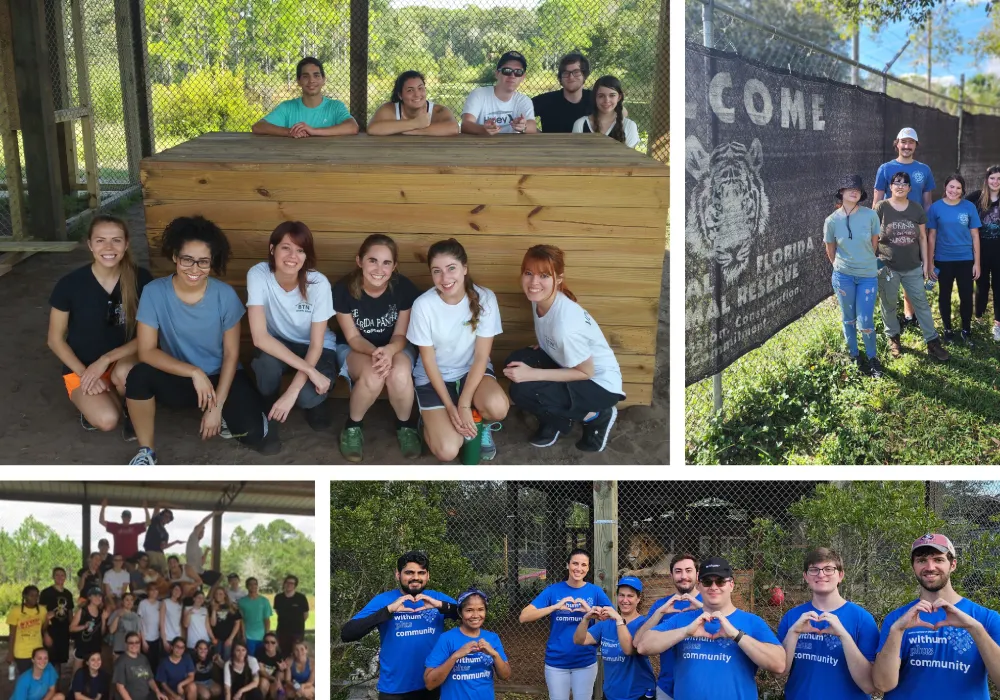 Collage of groups of people posing and smiling outdoors at an animal reserve, some sporting blue shirts and making heart signs with their hands, celebrating the CFAR partner program.