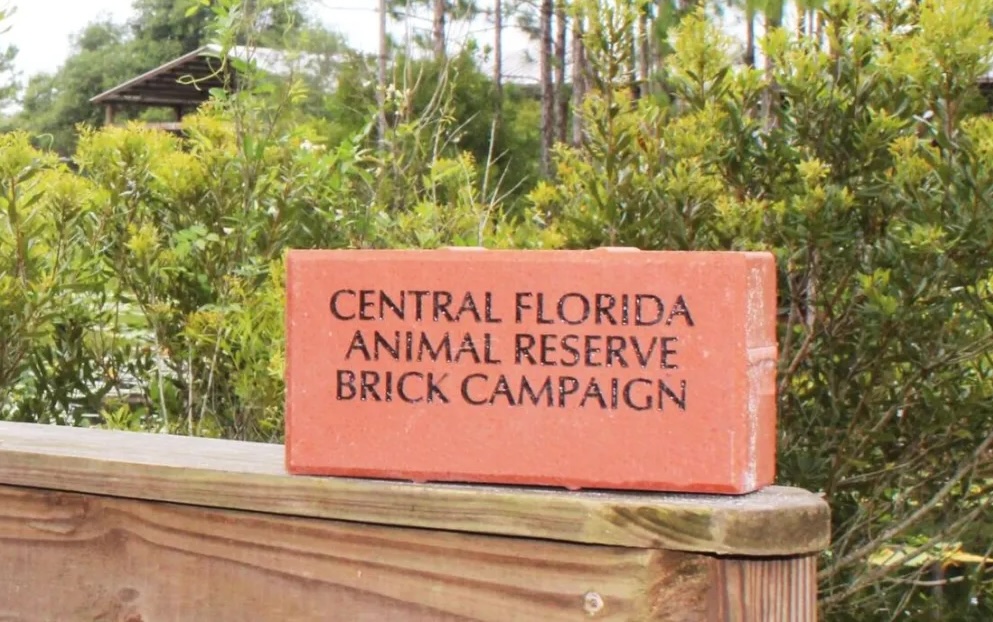 A red brick with the text "Central Florida Animal Reserve Brick Campaign" sits on a wooden railing outdoors, surrounded by greenery—highlighting a unique way to donate to Central Florida Animal Reserve.