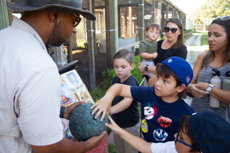 A group of children and adults gather around a man holding an object, as the children reach out to touch it during an exotic animal experience in Florida at an outdoor educational setting.