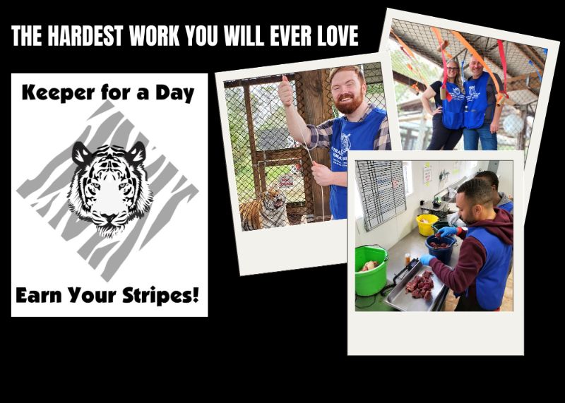 Collage promoting "Keeper for a Day" at Central Florida Animal Reserve with photos of people caring for animals, preparing food, and working in enclosures. Slogan: "The Hardest Work You Will Ever Love.