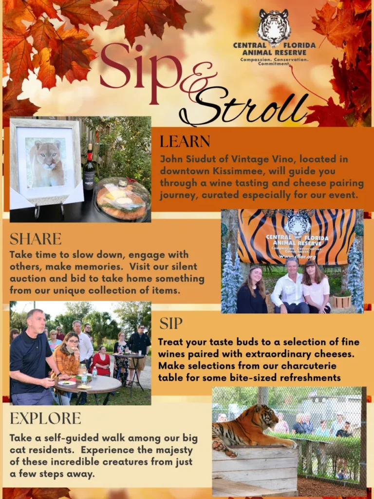 Flyer for "Sip & Stroll" event at Central Florida Animal Reserve, featuring wine tasting, silent auction, animal encounters, and guided walks. Includes images of wine, a tiger, and people socializing.