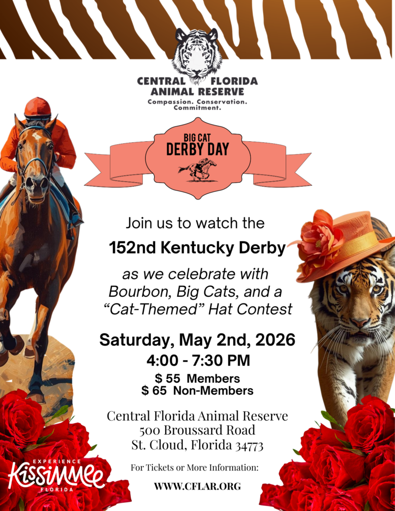 Flyer for Big Cat Derby Day at Central Florida Animal Reserve on May 2, 2026, featuring horse racing, a tiger, red roses, and event details.