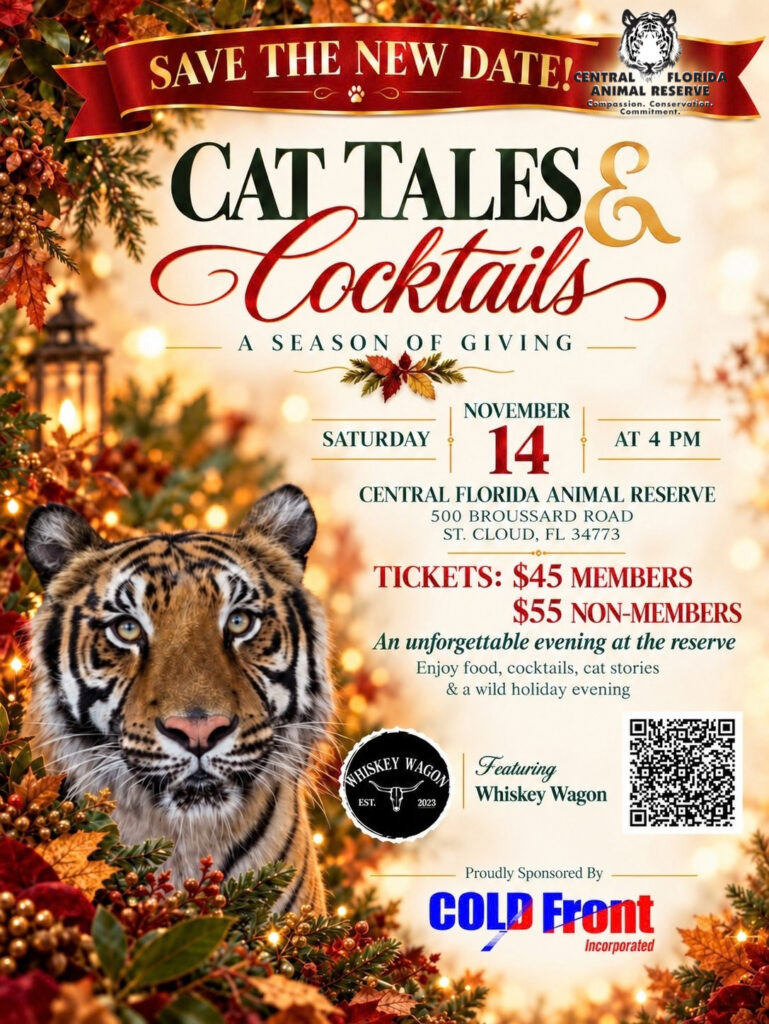 Event flyer for “Cat Tales & Cocktails” at the Central Florida Animal Reserve on Saturday, November 14 at 4 PM, featuring ticket prices, address, and a QR code.