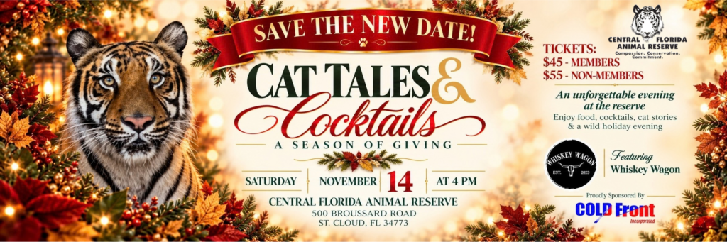 Event flyer for “Cat Tales & Cocktails” at the Central Florida Animal Reserve on Saturday, November 14 at 4 PM, featuring a tiger, ticket prices, and event sponsors.