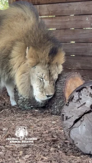 Central Florida Animal Reserve Weather